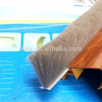 Useful anti dust weather strip brush